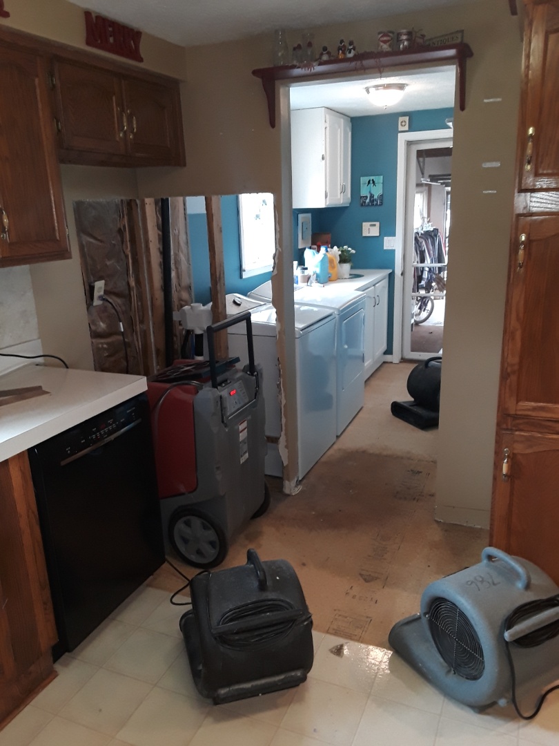 Middleville, MI - A leaky plumbing fitting caused this warer-loss. I removed 1 upper cabinet and drywall on both sides of the the partition wall. I also removed all the flooring in the laundry room and part of the kitchen. After all this is treated the floor with antimicrobial spray and set up 1 dehumidifier and 3 air moves Middleville, MI - A leaky plumbing fitting caused this warer-loss. I removed 1 upper cabinet and drywall on both sides of the the partition wall. I also removed all the flooring in the laundry room and part of the kitchen. After all this is treated the floor with antimicrobial spray and set up 1 dehumidifier and 3 air moves
