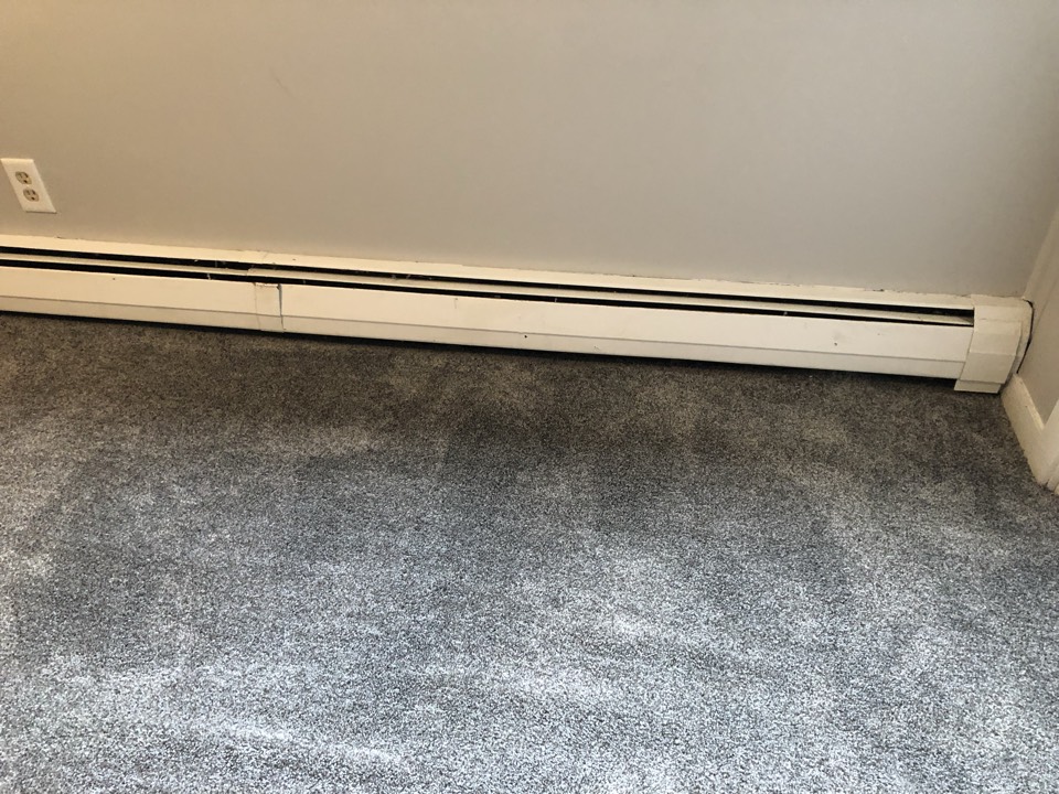 Grand Rapids, MI - Checking out. Eater damage to the basement bedroom. Water leaked in through the egress window. Wet carpet and padding. Water extraction needed Grand Rapids, MI - Checking out. Eater damage to the basement bedroom. Water leaked in through the egress window. Wet carpet and padding. Water extraction needed