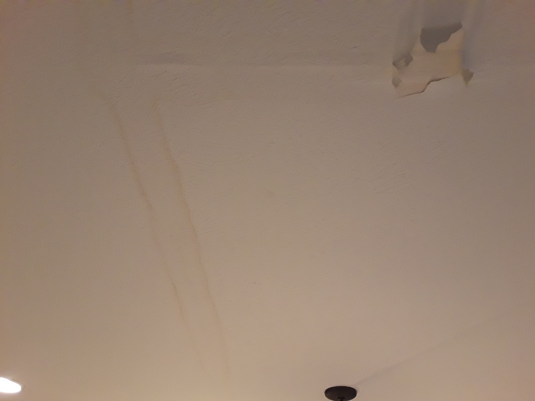 Hudsonville, MI - About to start fixing a finished basement ceiling caused by a leaking dishwasher Hudsonville, MI - About to start fixing a finished basement ceiling caused by a leaking dishwasher