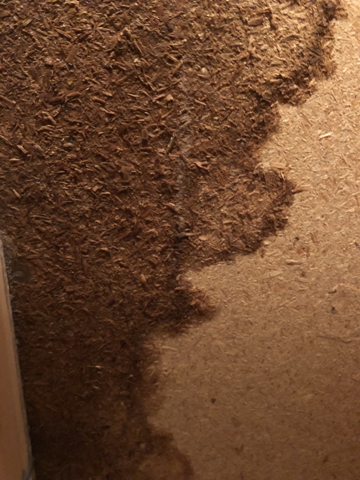 Wyoming, MI - Crew is out on water loss from washer overflow. Damage to the subfloor. Removing the wet subfloor and installing new subfloor Wyoming, MI - Crew is out on water loss from washer overflow. Damage to the subfloor. Removing the wet subfloor and installing new subfloor