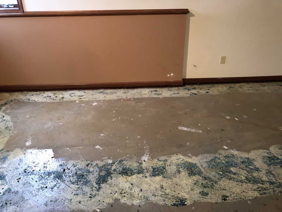 Caledonia, MI - Water dryout started. The carpet and pad removed. We have to scrape the pad that was glued to concrete. One more step Caledonia, MI - Water dryout started. The carpet and pad removed. We have to scrape the pad that was glued to concrete. One more step