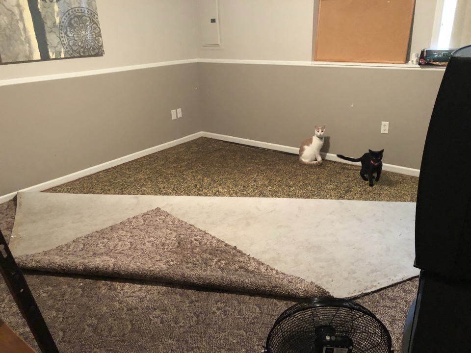 Holland, MI - Repeat customer from water damage. Customer wants and estimate on a current remodel project. Remove and replaced baseboards and door casing. Holland, MI - Repeat customer from water damage. Customer wants and estimate on a current remodel project. Remove and replaced baseboards and door casing.