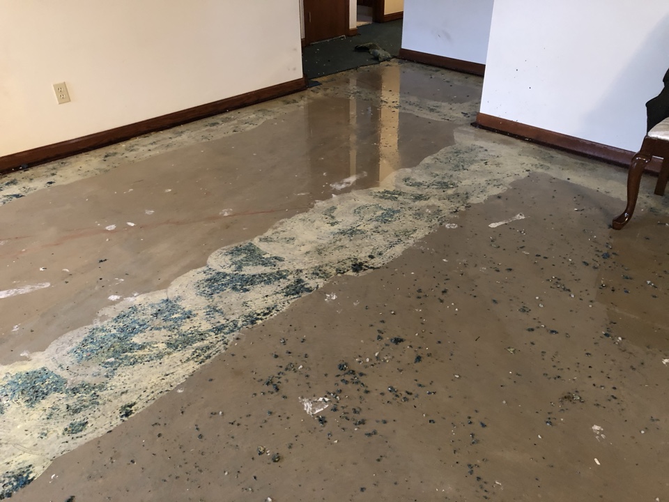 Caledonia, MI - Meet with customer to review the water damage claim and go over the insurance company check. Customer is selecting carpet sample that was drop off by our sales rep. Waiting for selection to continue the water damage restoration portion. Caledonia, MI - Meet with customer to review the water damage claim and go over the insurance company check. Customer is selecting carpet sample that was drop off by our sales rep. Waiting for selection to continue the water damage restoration portion.