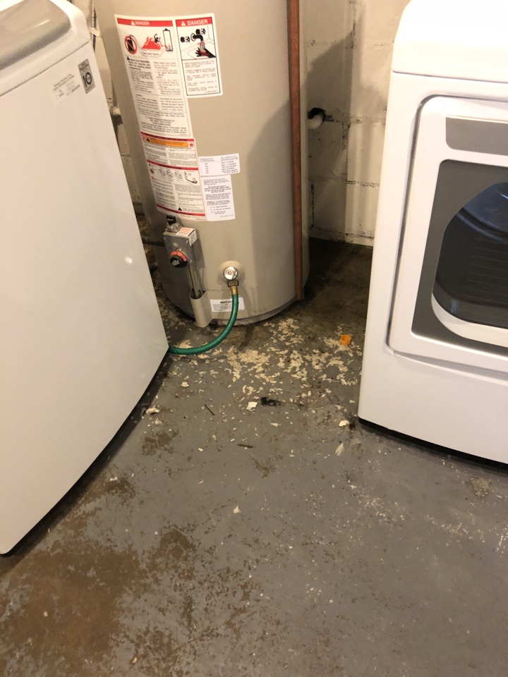 Holland, MI - Customer had sewer drain back up. Water extraction and dryout. We need to clean and treat floor and remove and replace a small area of drywall. Holland, MI - Customer had sewer drain back up. Water extraction and dryout. We need to clean and treat floor and remove and replace a small area of drywall.