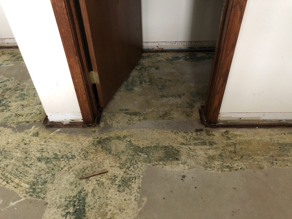 Caledonia, MI - Customer selected carpet for the basement water damage. Install of baseboards up next before carpet install Caledonia, MI - Customer selected carpet for the basement water damage. Install of baseboards up next before carpet install