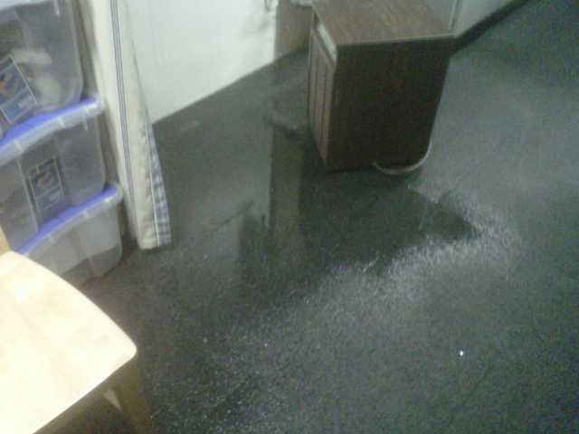 Grand Rapids, MI - Leaky window caused standing water in basement. Grand Rapids, MI - Leaky window caused standing water in basement.
