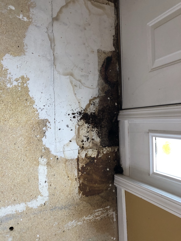 Kentwood, MI - Subfloor replacement before install of new vinyl plank. Once we removed the old laminate floor we found water damage from front door. Kentwood, MI - Subfloor replacement before install of new vinyl plank. Once we removed the old laminate floor we found water damage from front door.