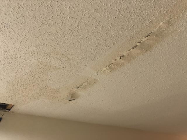 Grand Rapids, MI - Broken irrigation line in the basement ceiling. Water damage to the carpet and drywall Grand Rapids, MI - Broken irrigation line in the basement ceiling. Water damage to the carpet and drywall