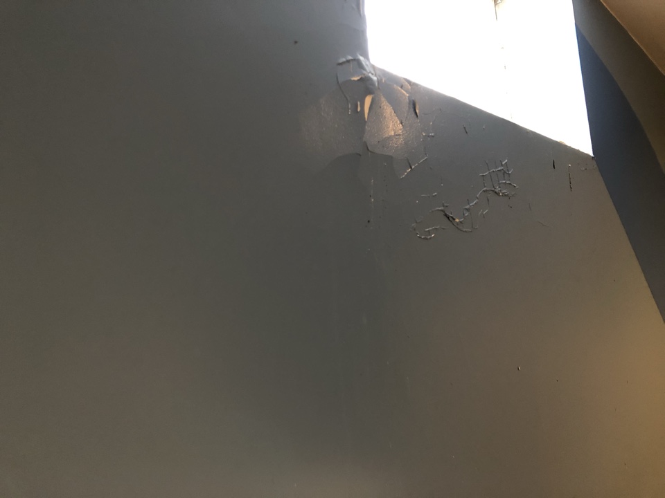 Holland, MI - Mold remediation project. Basement window leaks. Damage to drywall and the carpet and pad. Baseboard damaged as well. Holland, MI - Mold remediation project. Basement window leaks. Damage to drywall and the carpet and pad. Baseboard damaged as well.