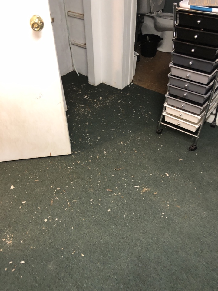 Grand Rapids, MI - Sewer drain backup. Affected bath room and basement recreation room. Removal of carpet and pad. Clean and treat floor Grand Rapids, MI - Sewer drain backup. Affected bath room and basement recreation room. Removal of carpet and pad. Clean and treat floor