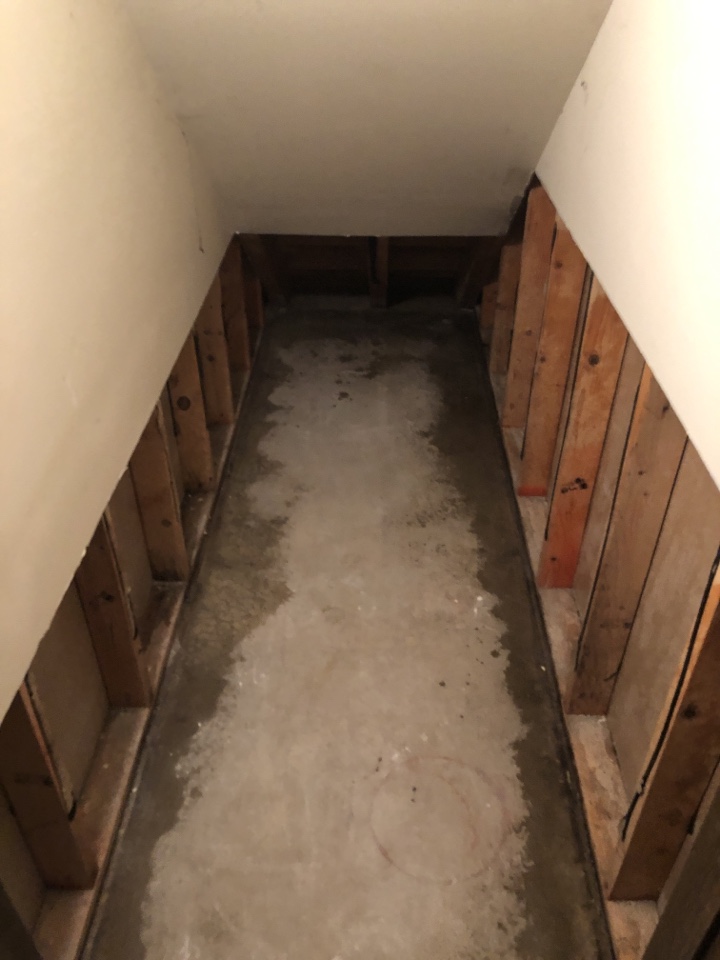 Wyoming, MI - Moldy drywall removed studs and walls have been treated. Wyoming, MI - Moldy drywall removed studs and walls have been treated.
