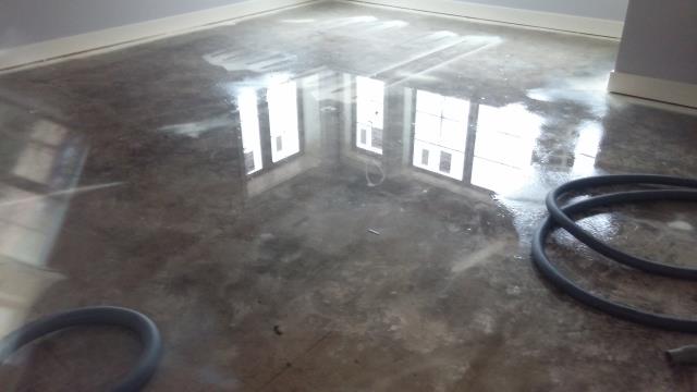 Grand Rapids, MI - Water in basement that came from leaky window. Grand Rapids, MI - Water in basement that came from leaky window.