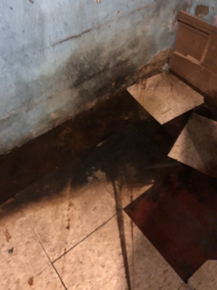 Spring Lake, MI - Water coming through the foundation and concrete floor. Flooding issue in the basement. Water extraction. Clean and treat the floor and set up drying equipment Spring Lake, MI - Water coming through the foundation and concrete floor. Flooding issue in the basement. Water extraction. Clean and treat the floor and set up drying equipment