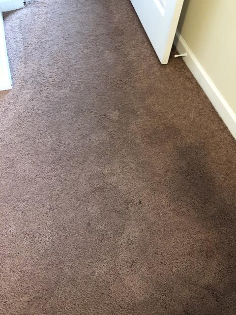 Grand Rapids, MI - Water in the basement from failure of sump pump. Grand Rapids, MI - Water in the basement from failure of sump pump.