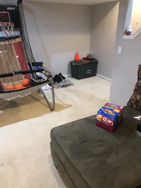 Grand Rapids, MI - Sump pump failure. Wet carpet in the basement. Heavy odor. Grand Rapids, MI - Sump pump failure. Wet carpet in the basement. Heavy odor.