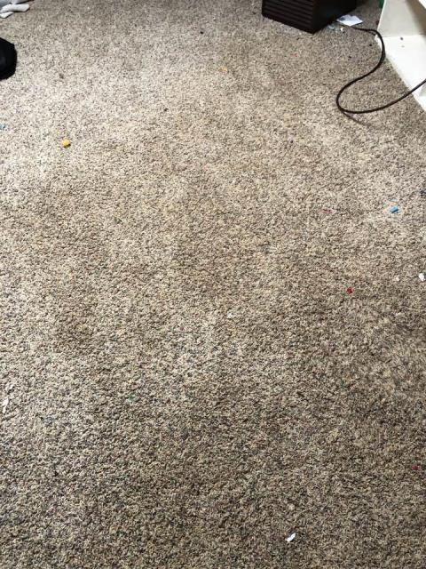 Grand Rapids, MI - Hot water heater broke. Put water in the basement recreation room. Water damage to the paneling and carpet. Grand Rapids, MI - Hot water heater broke. Put water in the basement recreation room. Water damage to the paneling and carpet.
