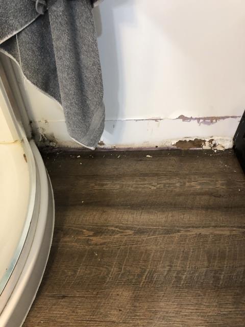 Grand Rapids, MI - Water damage with secondary water damage to the drywall in the bathroom. Grand Rapids, MI - Water damage with secondary water damage to the drywall in the bathroom.