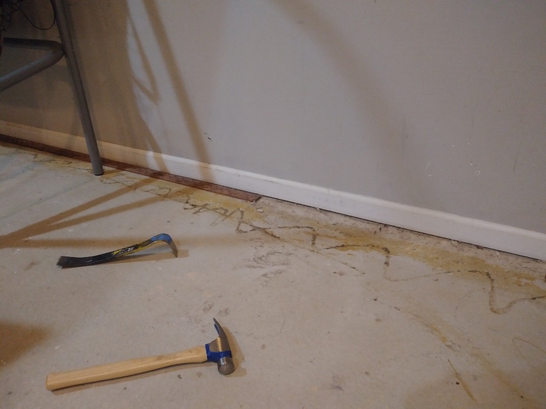 Kentwood, MI - In the process of removing the carpet tack strip and base molding. Kentwood, MI - In the process of removing the carpet tack strip and base molding.