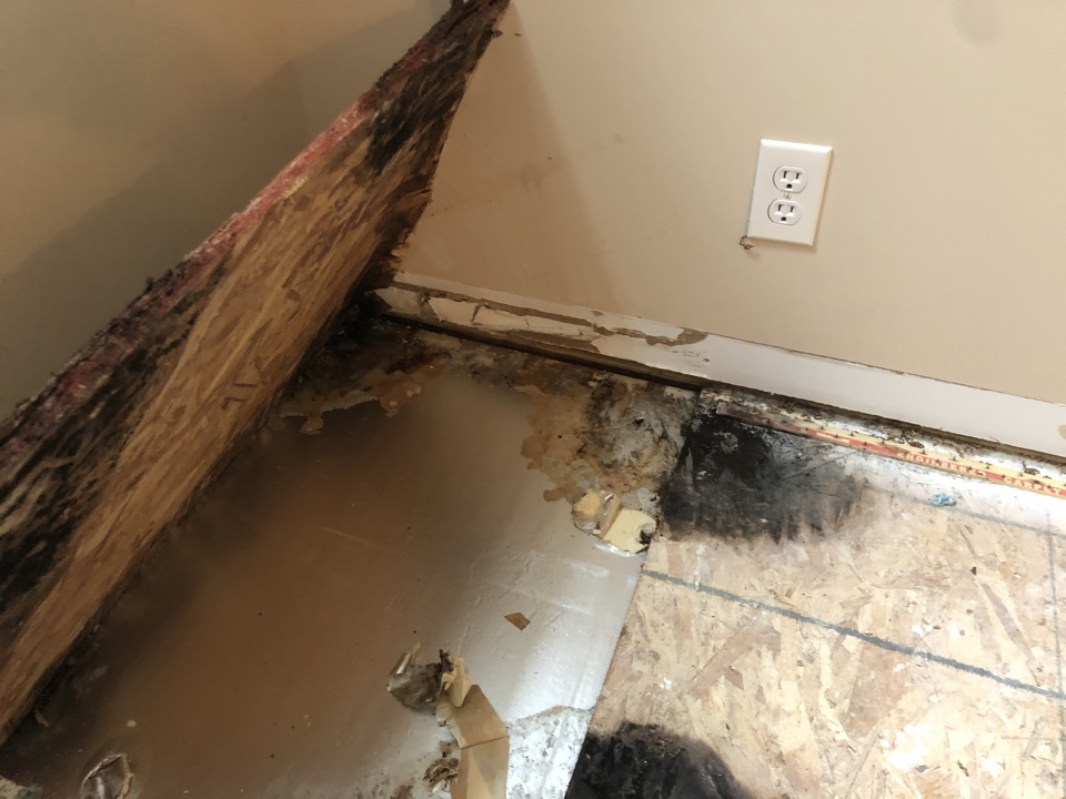 Zeeland, MI - Water damage from tub overflow in the upstairs bathroom. Wet carpet and wet drywall ceiling in the main floor laundry room. Picked up drying equipment and scoping secondary water damage for water restoration portion of the claim. Zeeland, MI - Water damage from tub overflow in the upstairs bathroom. Wet carpet and wet drywall ceiling in the main floor laundry room. Picked up drying equipment and scoping secondary water damage for water restoration portion of the claim.