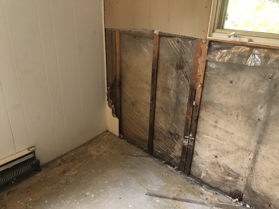 Grand Rapids, MI - Water dryout and mold remediation. Window leak caused mold to grow in the basement bedroom. Mold remediation and demo is required. The restoration portion will be completed once mold is removed. Grand Rapids, MI - Water dryout and mold remediation. Window leak caused mold to grow in the basement bedroom. Mold remediation and demo is required. The restoration portion will be completed once mold is removed.