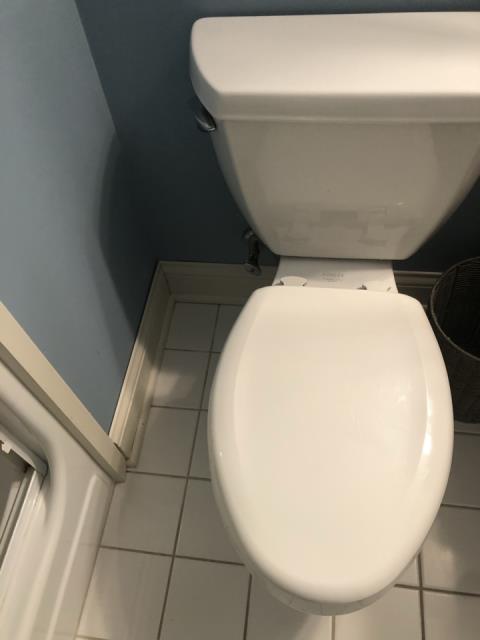 Grand Rapids, MI - Water damage to basement bathroom and bedroom from toilet overflow. Wet carpet and baseboards Grand Rapids, MI - Water damage to basement bathroom and bedroom from toilet overflow. Wet carpet and baseboards