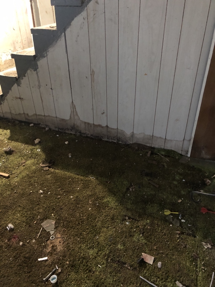 Grand Rapids, MI - Wet paneling from water drain issue. Problem solved know to start the dry out process Grand Rapids, MI - Wet paneling from water drain issue. Problem solved know to start the dry out process