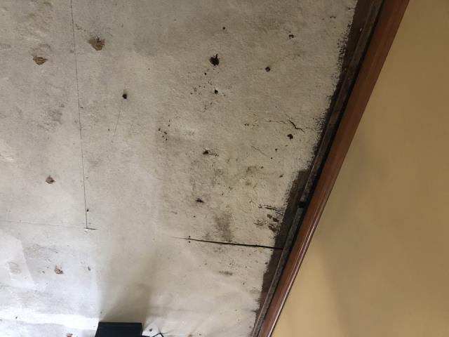 Grand Rapids, MI - Water line broke. Water damage to the living subfloor. Grand Rapids, MI - Water line broke. Water damage to the living subfloor.