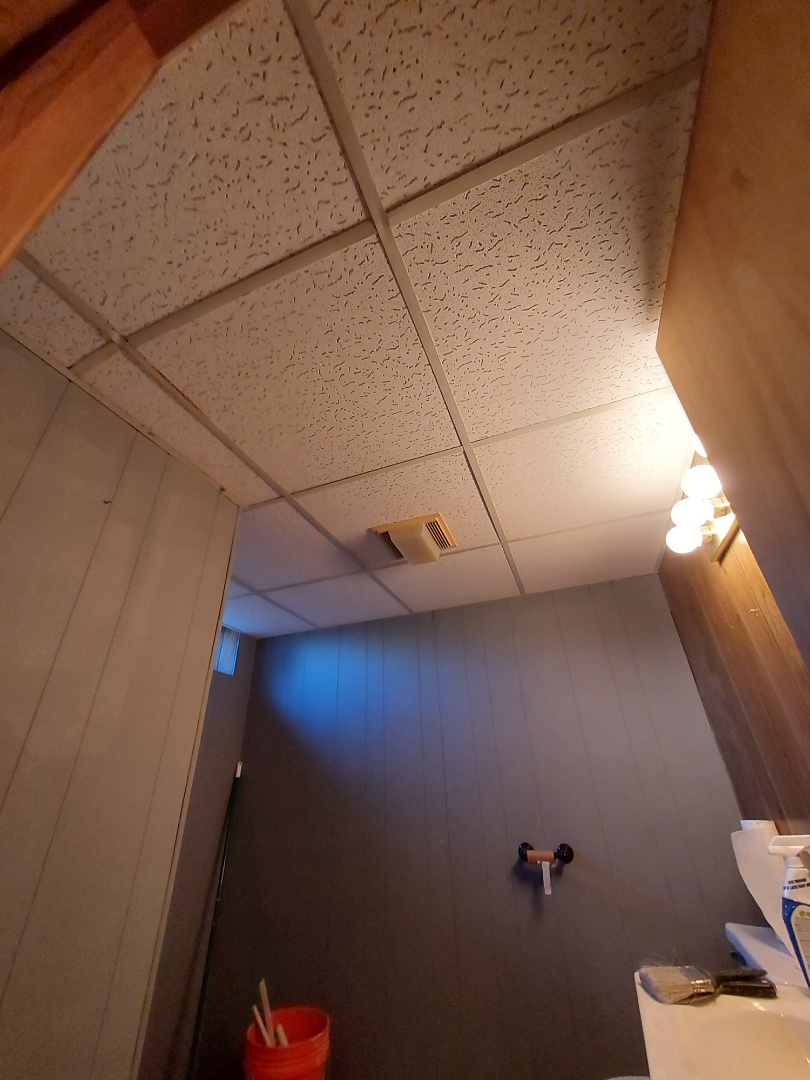 Grand Rapids, MI - New ceiling tiles in the basement bathroom. Grand Rapids, MI - New ceiling tiles in the basement bathroom.
