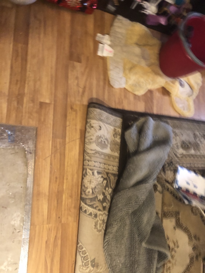Grand Rapids, MI - Water dry out and mold remediation from water line break. Cabinets, countertops and new flooring through the home. Grand Rapids, MI - Water dry out and mold remediation from water line break. Cabinets, countertops and new flooring through the home.