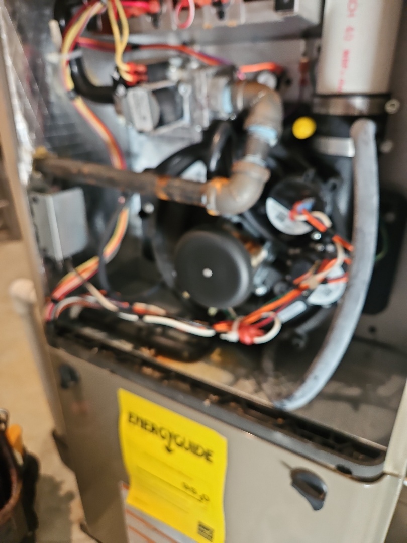 tune up