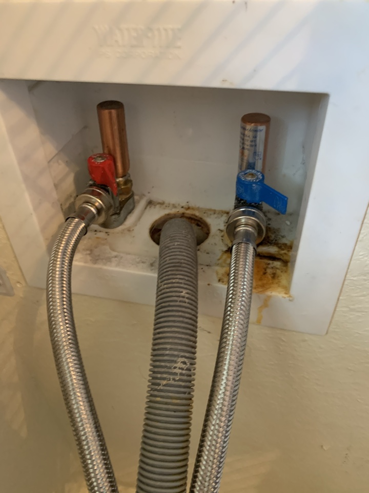 Port St. Lucie, FL - Removed corroded washing machine hoses. Port St. Lucie, FL - Removed corroded washing machine hoses.