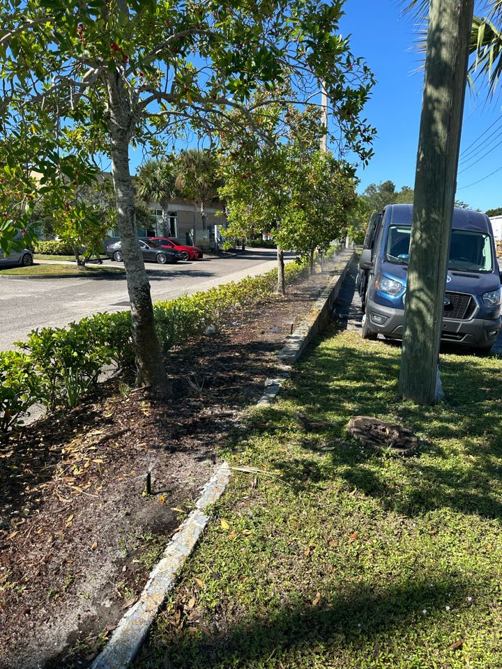 Palm Harbor, FL - Repair  Palm Harbor, FL - Repair