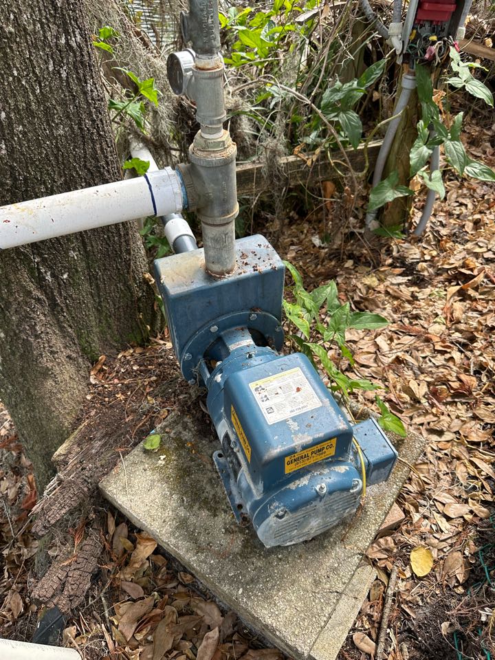 Tampa, FL - Diagnostic  Tampa, FL - Diagnostic