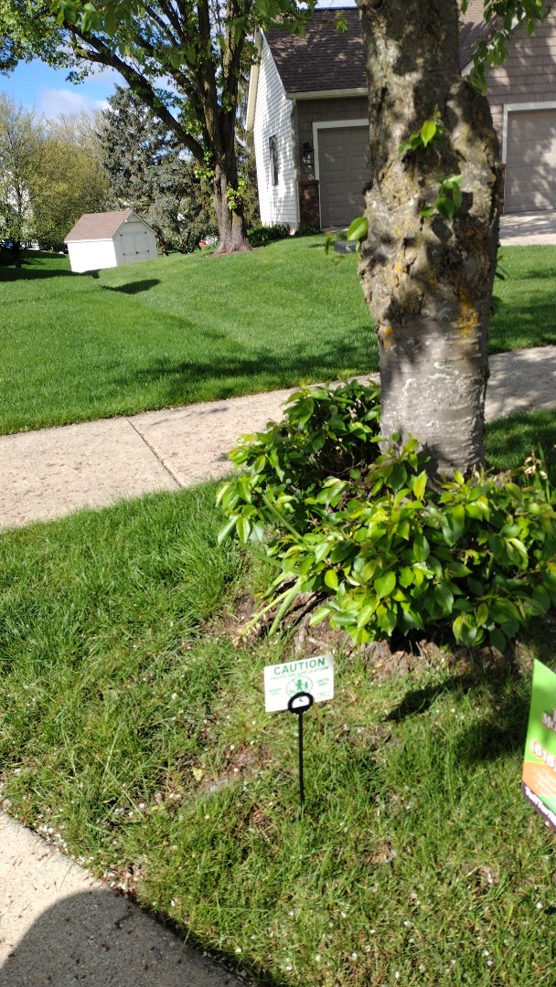 applying crabgrass control 