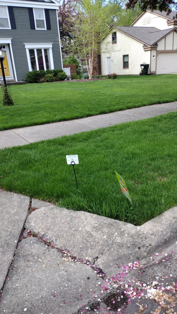 applying crabgrass control 