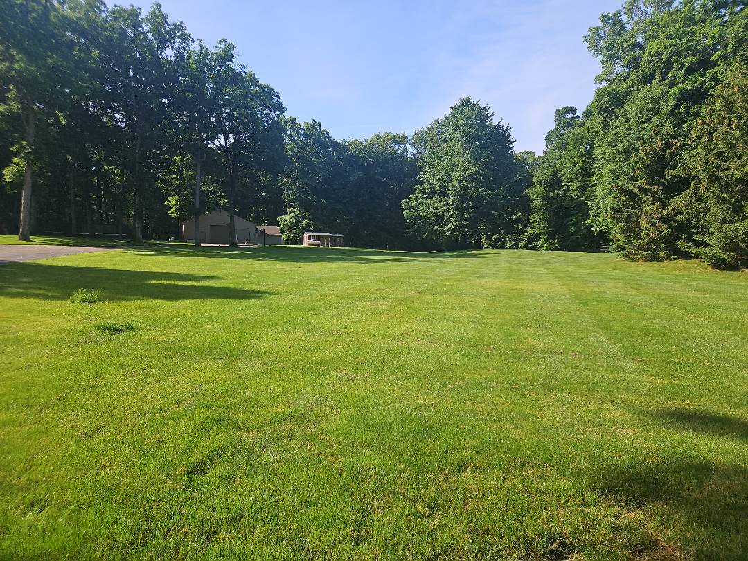 I'm treating this large property in Ada for moles