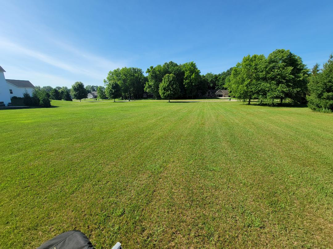 beautiful lawn without irrigation.