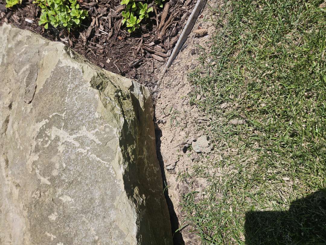 A favorite place for chipmunks to burrow is behind retaining walls