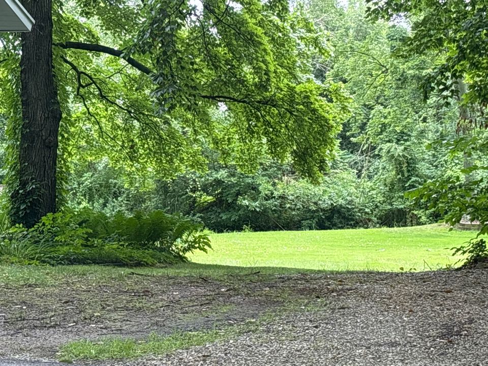 79.24% sure I saw a beaver back there by a stream. Could’ve been a muskrat but it had a goofy tail. Ran into the water before I could get a very good look. 