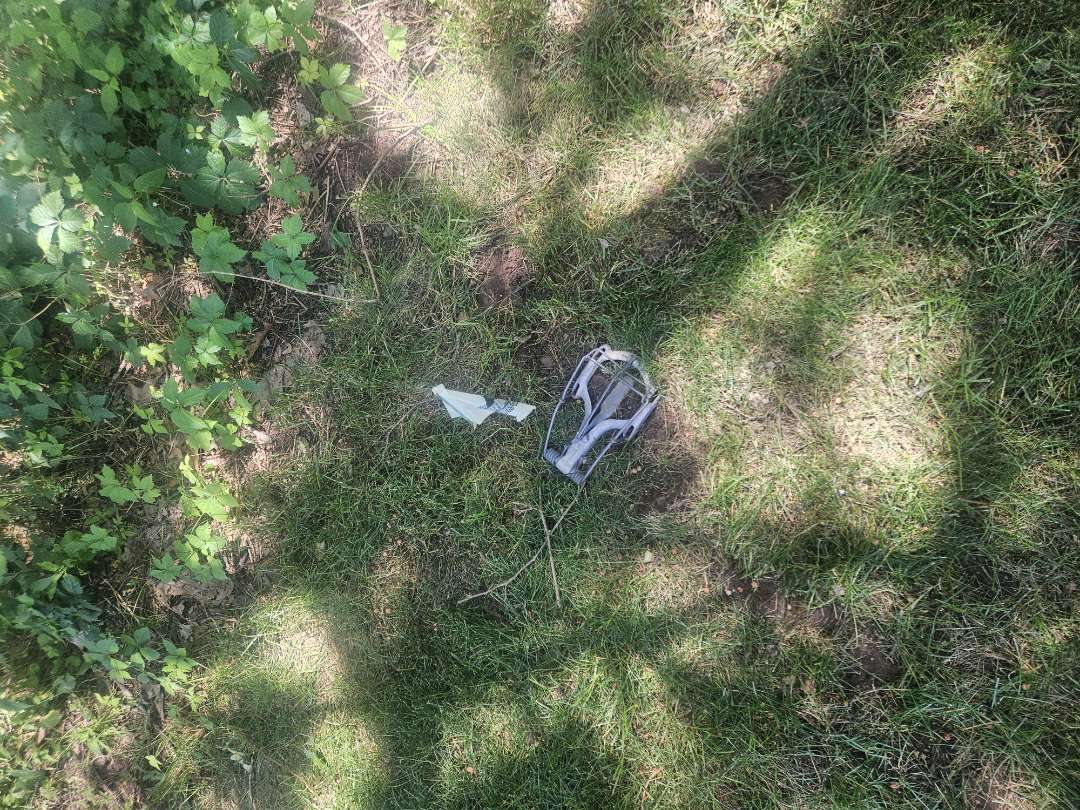 Setting traps in Ada today.