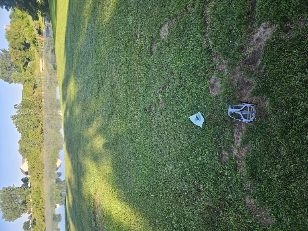 I'm trapping mole on this nice property today!