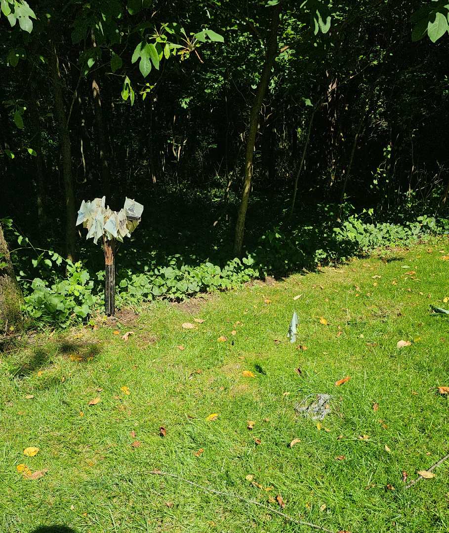 mole trapping. bug control. pest solution. aeration 