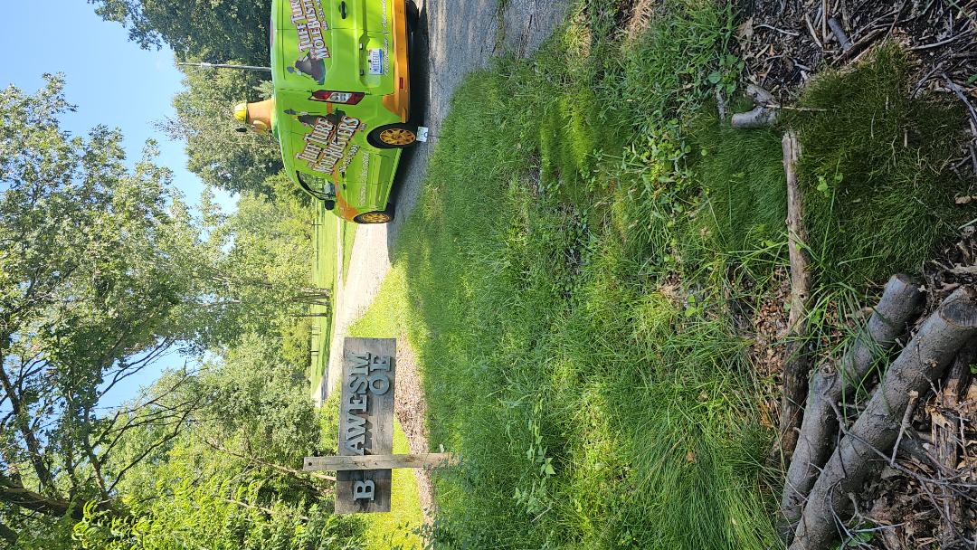 Mole trapping, pest solutions,  bug control, aeration