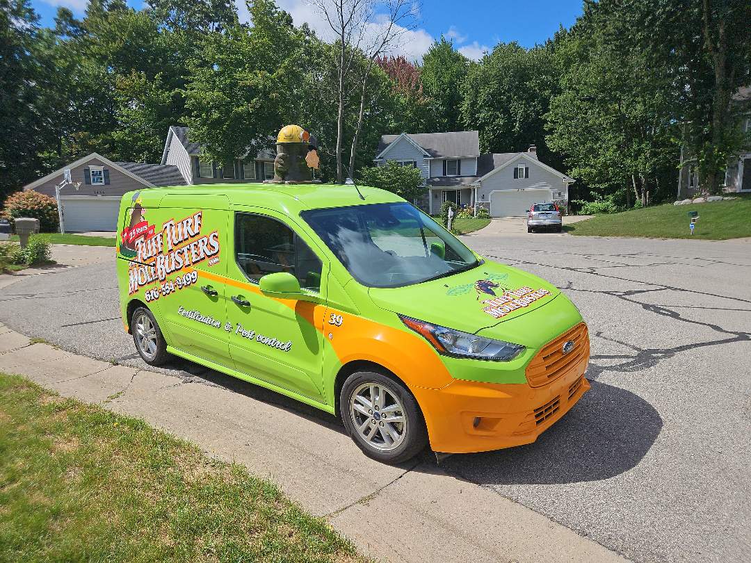 I'm setting traps and catching moles today.