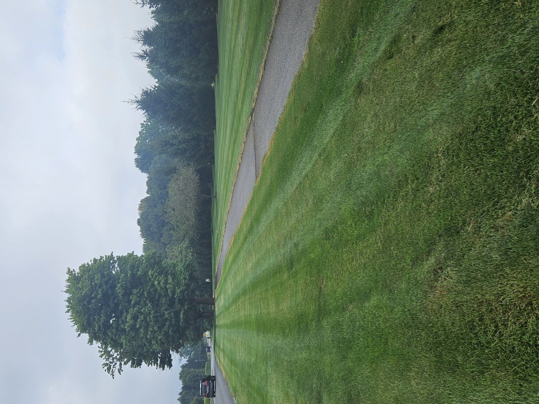 I'm trapping moles along this common area at a condominium complex.