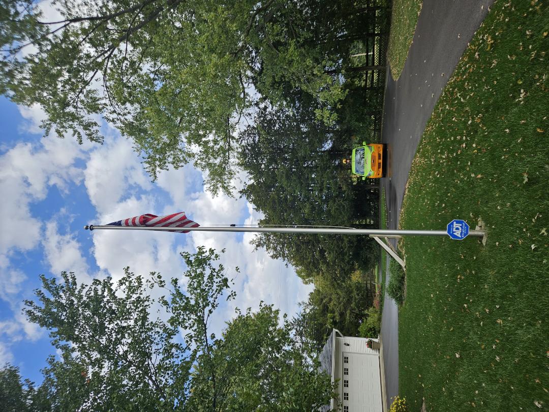 Treating moles on this property today.