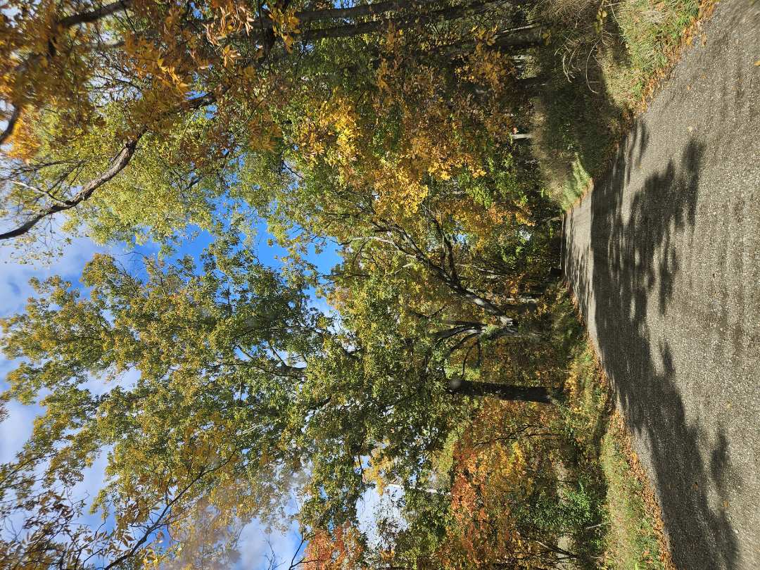 I'm enjoying the fall season while doing mole control.