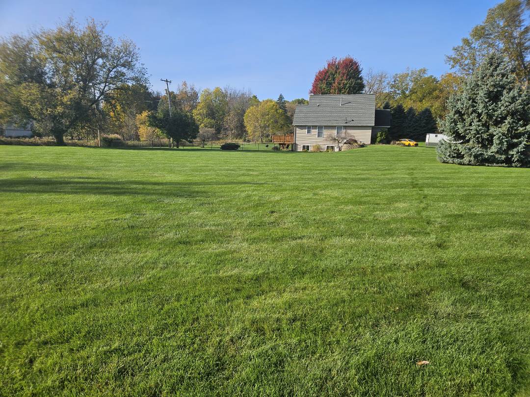 Here is a lawn that we've been treating for moles, fertilizer and weed control for many years.