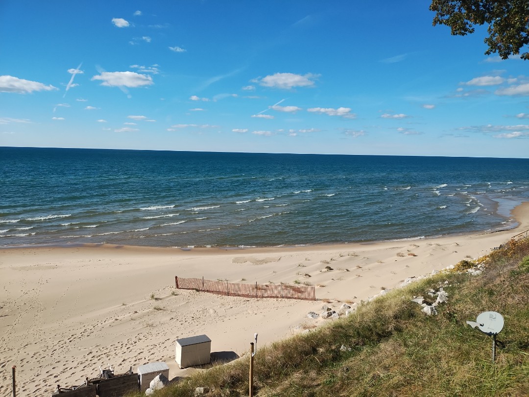 Mole hunting along the Lakeshore!