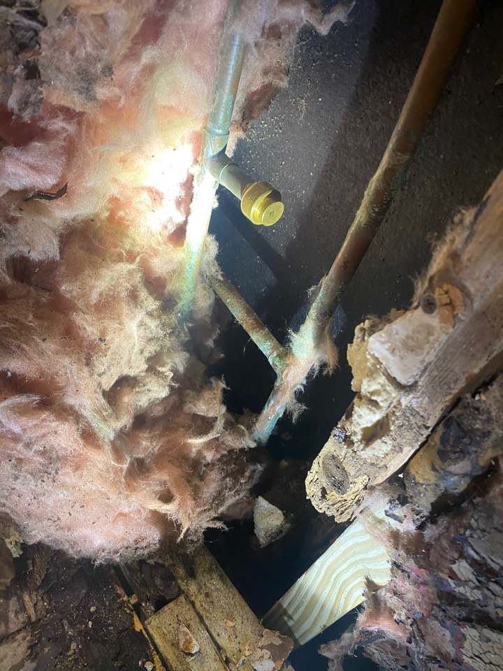 Orlando Plumber Drain Genie Plumbing Services